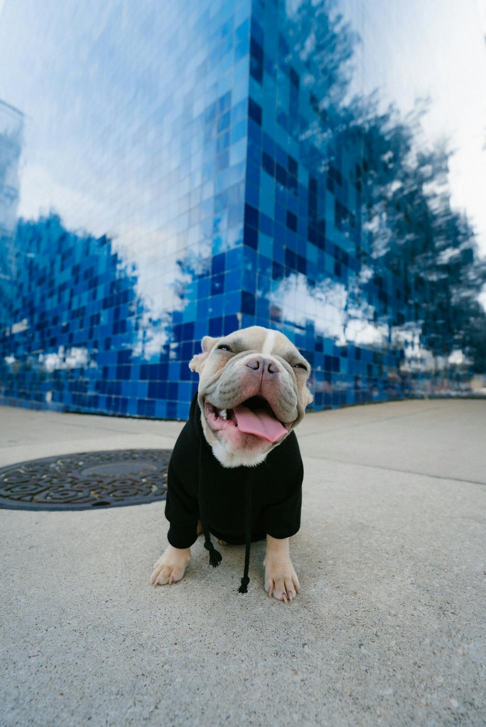 Principal Architect